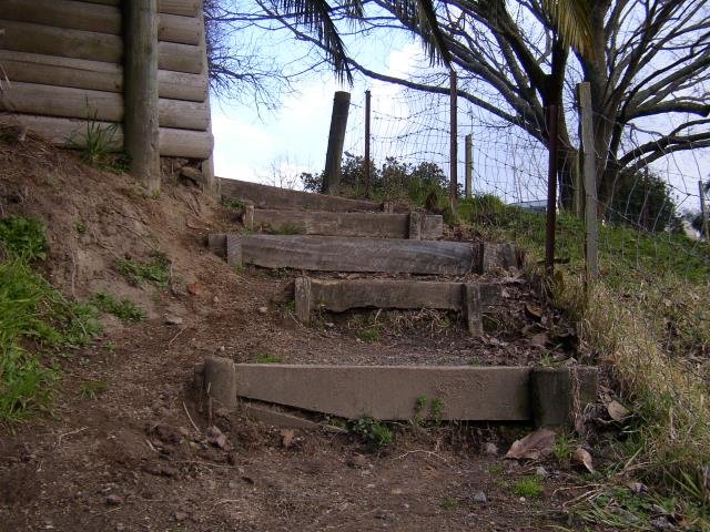 Old steps. Jan. 2002. Cambridge Tree Trust